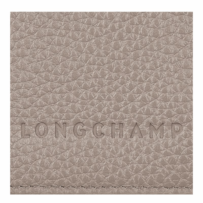 Longchamp Le FOULONNÉ Passholder Dame Grå Norge | L3416021P55