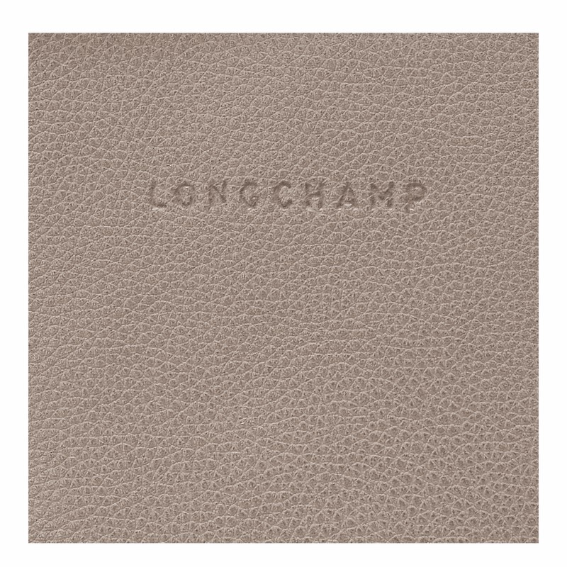 Longchamp Le FOULONNÉ Ryggsekker Dame Grå Norge | 10195021P55