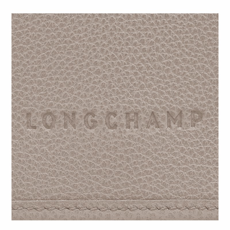 Longchamp Le FOULONNÉ XS Clutch Dame Grå Norge | 10133021P55